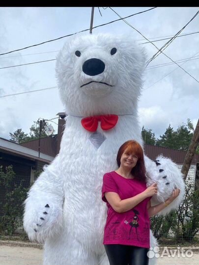 Экспресс-Поздравления Белый Медведь 2,5м ростом
