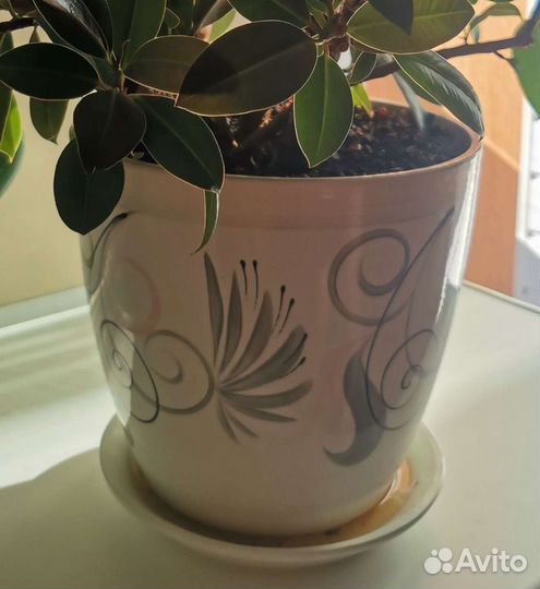 Горшок цветочный керамический