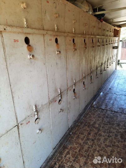 Пчелопавильон с пчелами