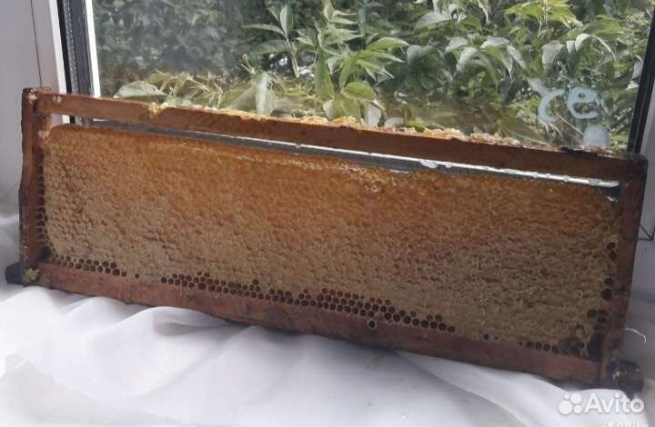 Мёд косметический