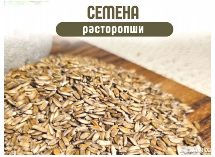 Качественные семена расторопши от производителя