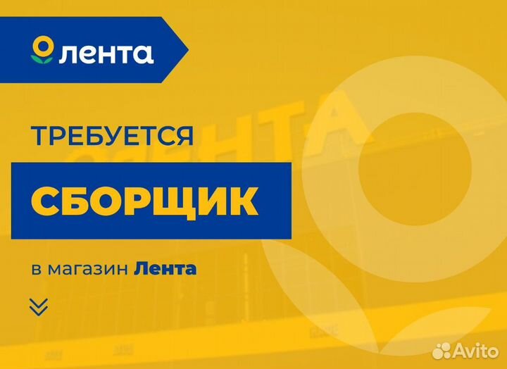 Сборщик заказов ежедневные выплаты