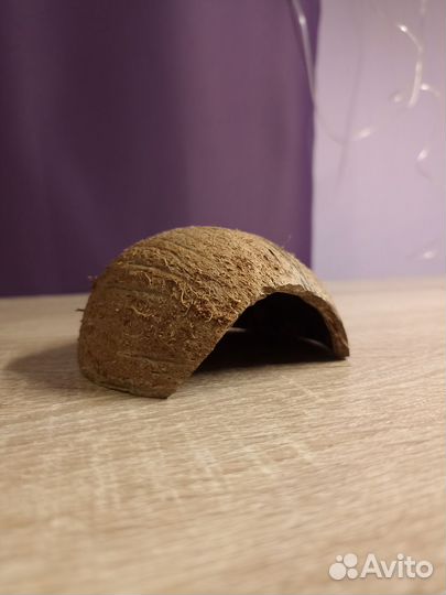 Домик для грызунов