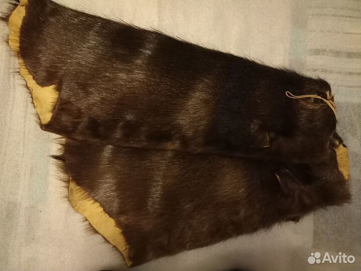 Шкурки нутрии