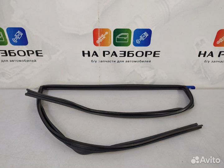 Уплотнительная резинка стекла двери задняя правая