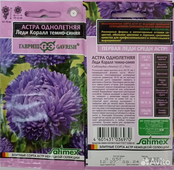 Астры кустовые