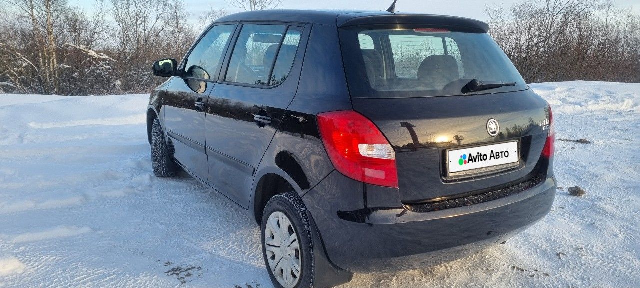 Skoda Fabia: фото владельца