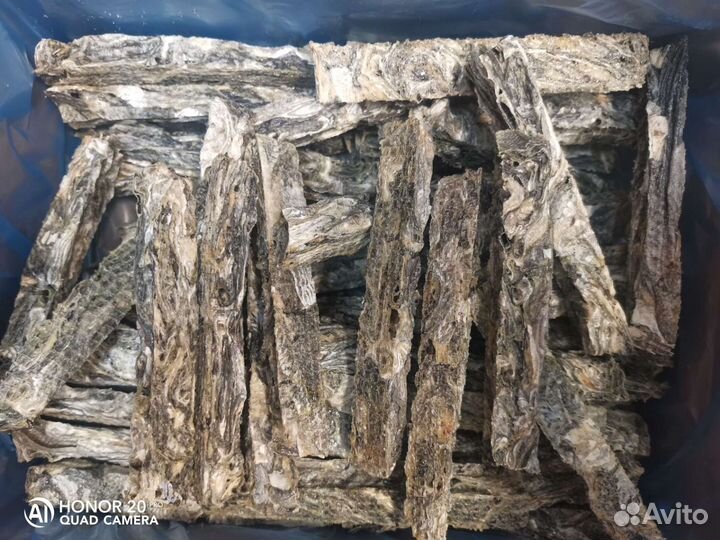 Корм для собак и кошек