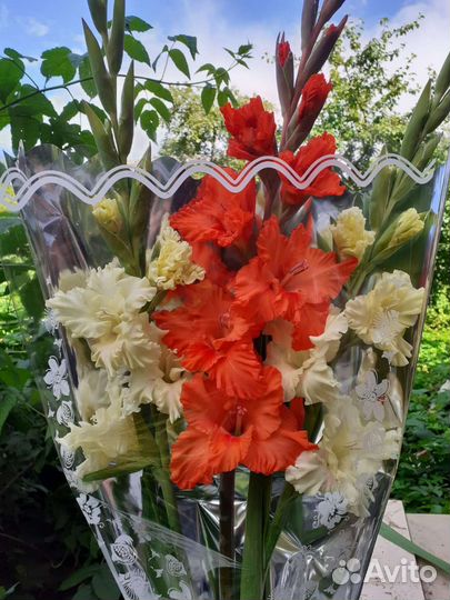 Гладиолусы, Букеты, свежайшая срезка