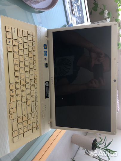 Ноутбук sony vaio