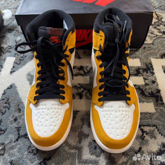 Air Jordan 1 Element Gore-Tex «Light Curry»