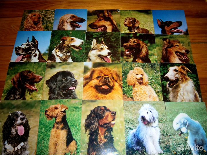 Набор 1987 года 