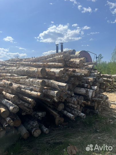 Уголь березовый