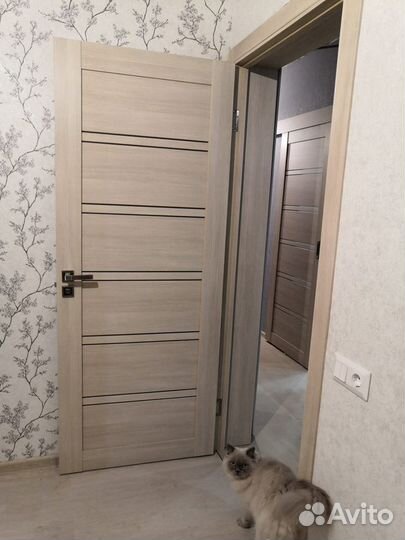 Межкомнатные двери