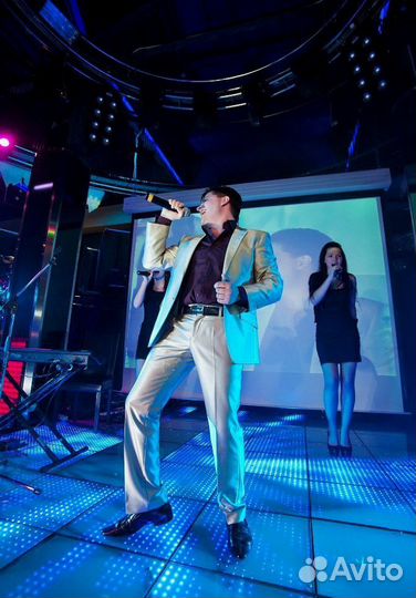 Артист (Музыкант, Певец)