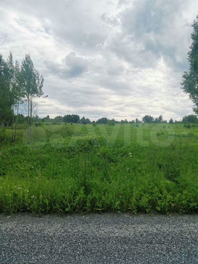 Участок 17,6 га (СНТ, ДНП)