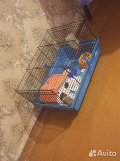 Клетка для грызунов