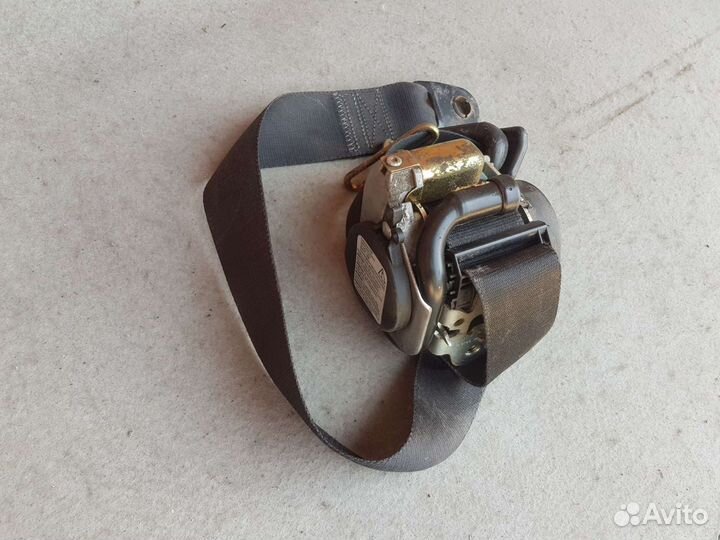 Ремень безопасности Ford focus