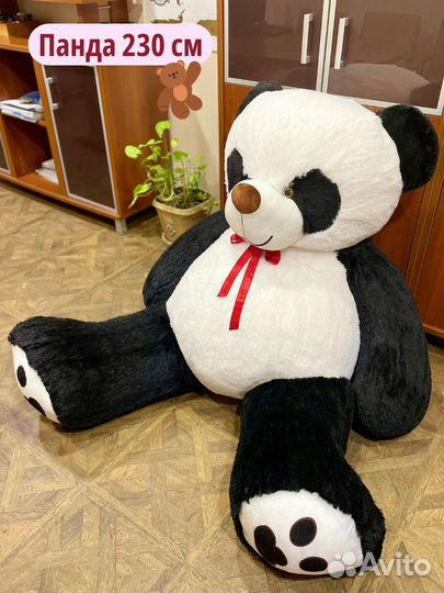 Панда плюшевая большая 230 см