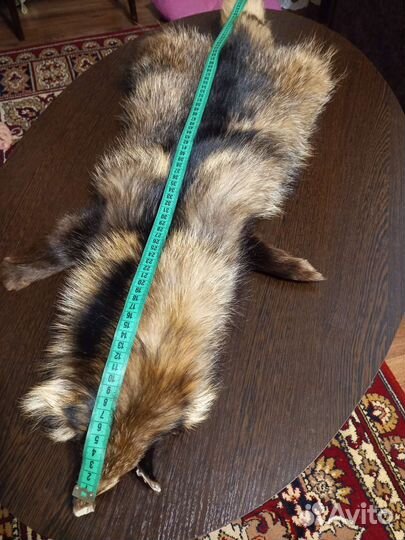 Шкура енота