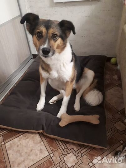 Лежанка матрас