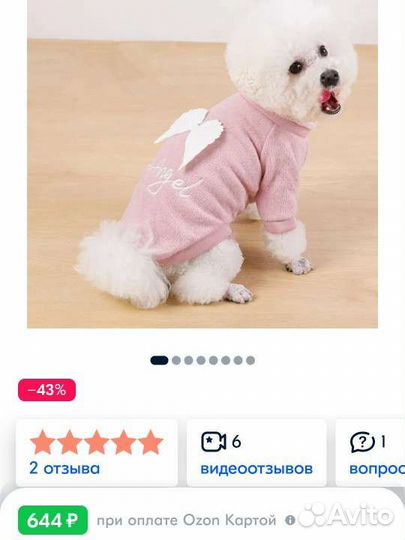 Одежда для мелких пород собак и кошек