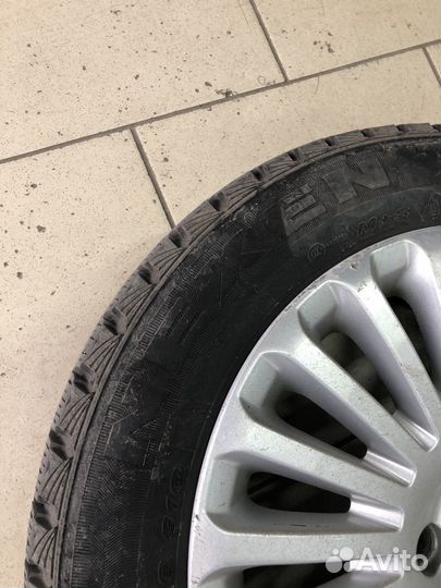 Nexen Winguard Ice 205/55 R16