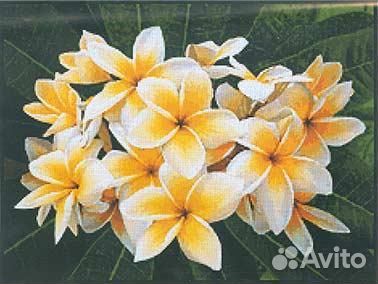 Набор для вышивания pinn №29