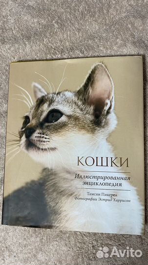 Энциклопедия Кошки