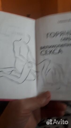 Книга Габриель Морисси