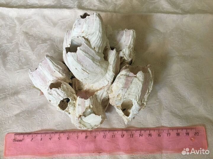 Декор для аквариума