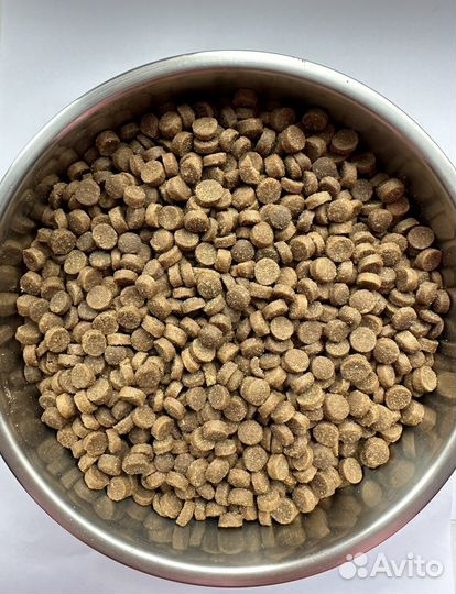 Корм для кошек