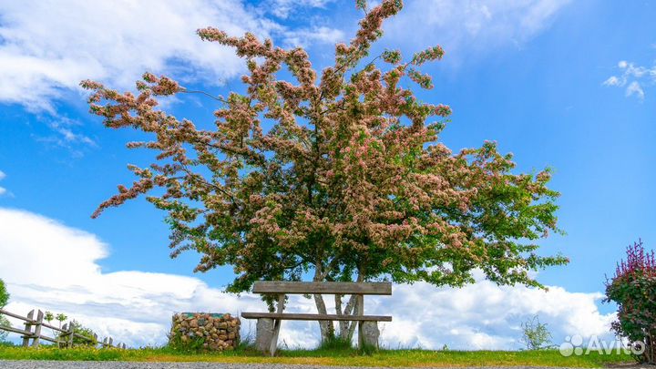 Экскурсия — Минск — Прекрасная провинция: дворцы в
