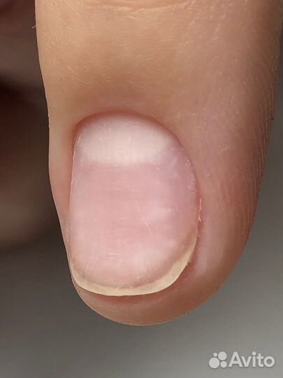 Индивидуальное обучение