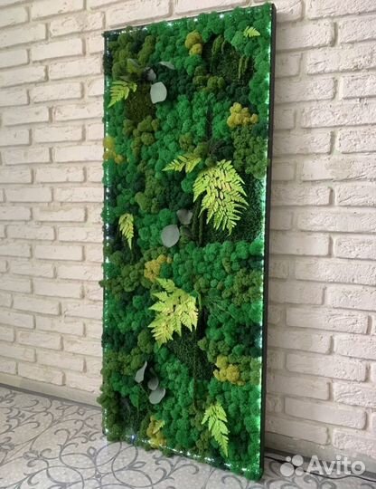 Картина, панно из стабилизированного мха
