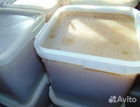 Мёд. (Алтайский)