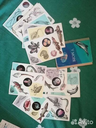 Раритетные открытки СССР набор 1979