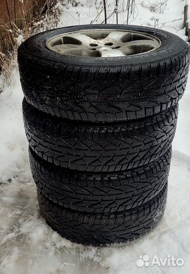 Tigar Winter 215/60 R16