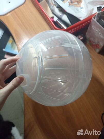 Шар для грызунов