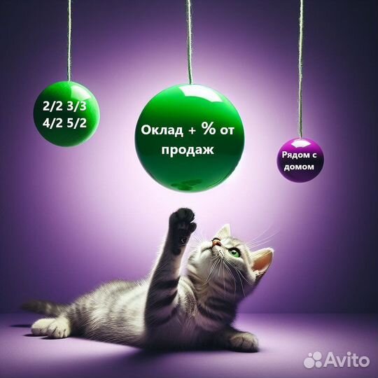 Продавец без опыта (г. Дзержинск) цум ТЦ