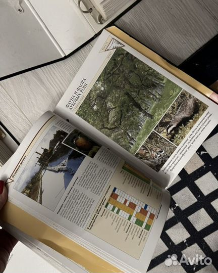 5 томов энциклопедии В мире дикой природы