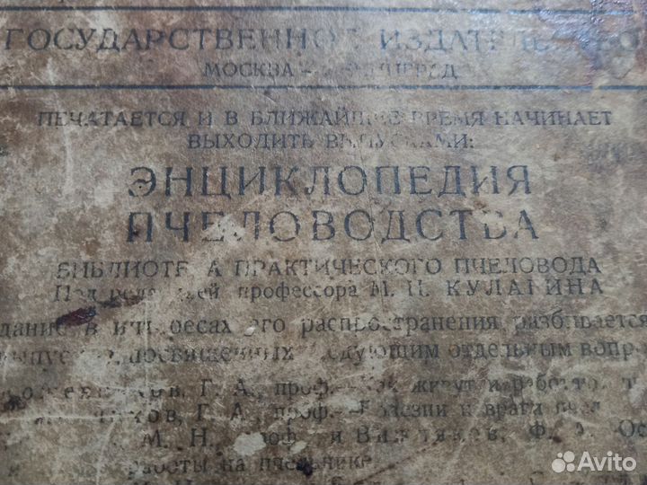 Пчеловодство Брюханенко 1926