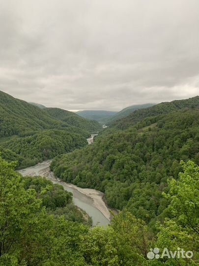 Отдых в Сочи,экскурсии и в лес на шашлыки