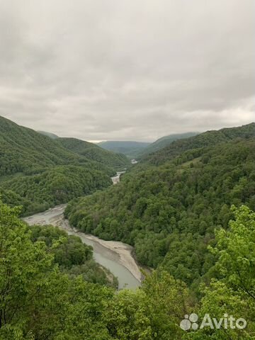 Отдых в Сочи,экскурсии и в лес на шашлыки