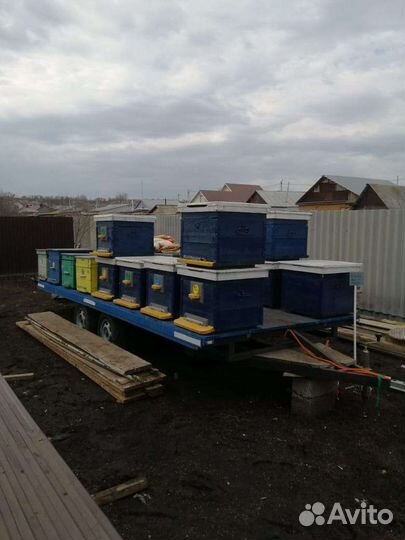 Прицеп для перевозки пчел и пасека