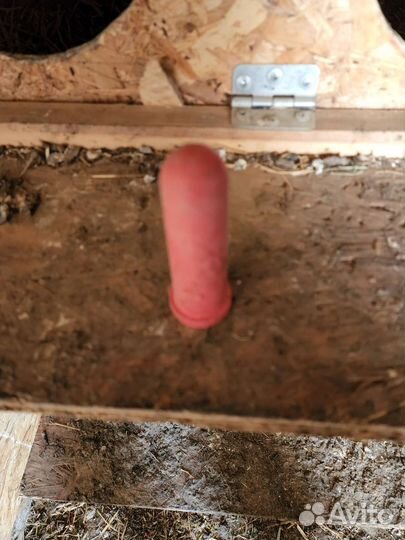 Ведро для выпойки козлят,телят или овец