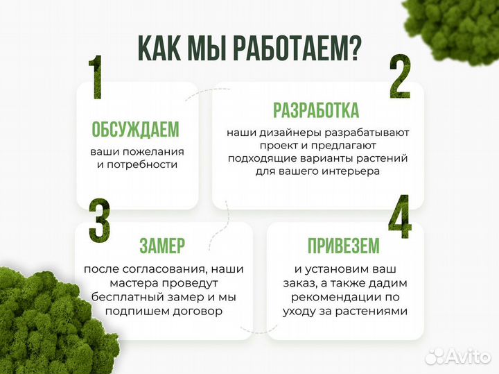 Фитопанно из мха / Ягель / Кочка