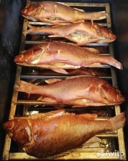 Горячее копчение рыбы