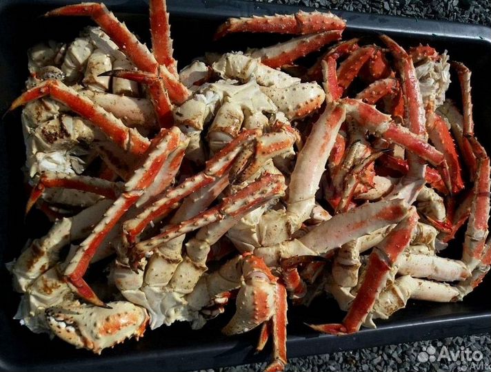 Краб камчатский