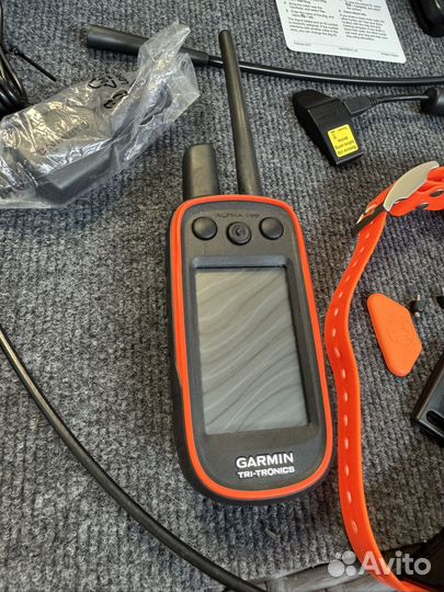 Garmin alpha 100 америка с ошейником